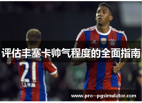 评估丰塞卡帅气程度的全面指南 评估丰塞卡帅气程度的全面指南