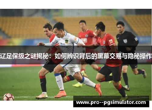 辽足保级之谜揭秘：如何辨识背后的黑幕交易与隐秘操作