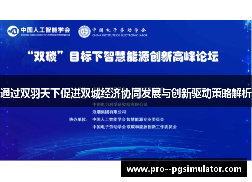 通过双羽天下促进双城经济协同发展与创新驱动策略解析