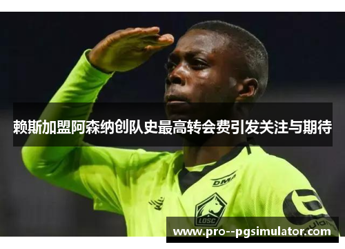 赖斯加盟阿森纳创队史最高转会费引发关注与期待