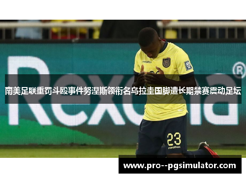 南美足联重罚斗殴事件努涅斯领衔名乌拉圭国脚遭长期禁赛震动足坛